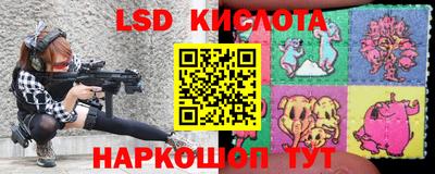 прущие грибы Кудрово