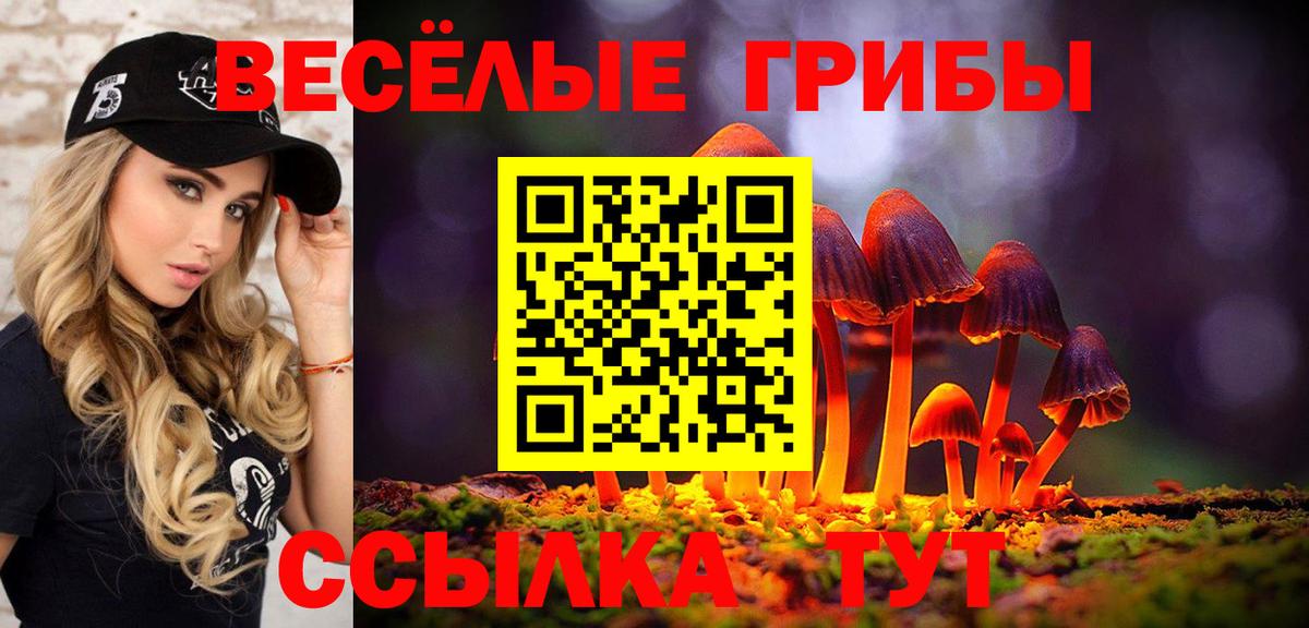 Псилоцибиновые грибы прущие грибы  купить   Псилоцибиновые грибы ЛСД  Киров  Вход с VPN 